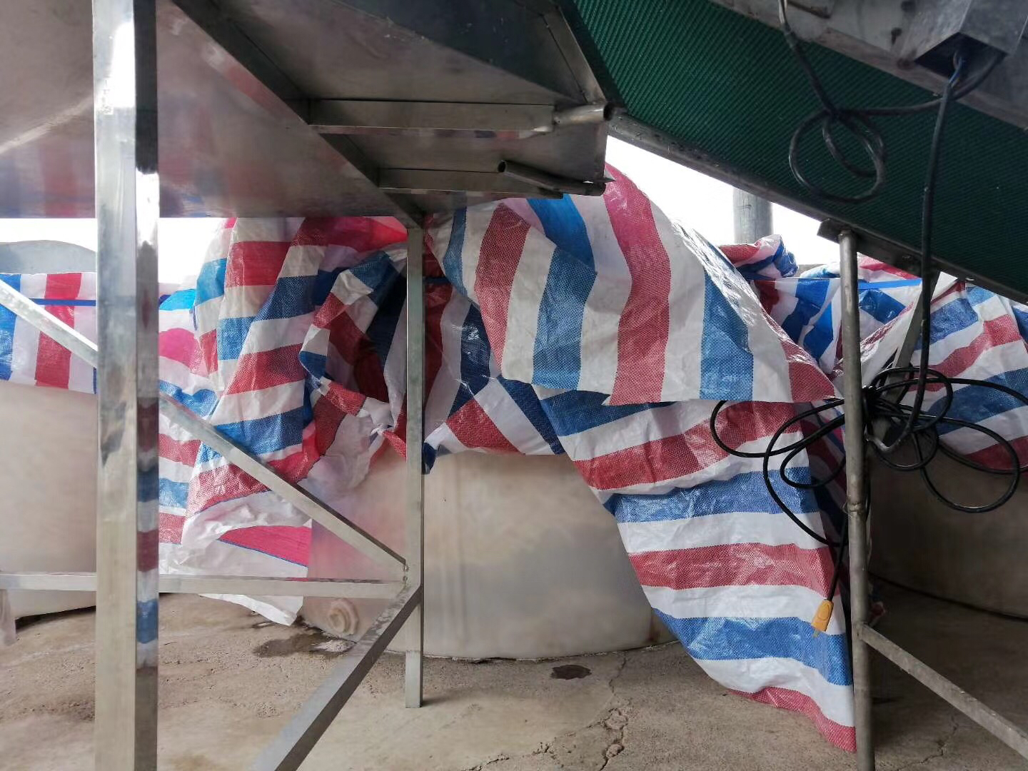 英德麻竹笋加工厂内景