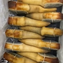 加拿大象拔蚌，海鲜刺身蚌，酒楼餐饮店专供，