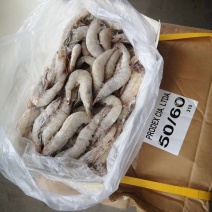 多尔虾，虾尾