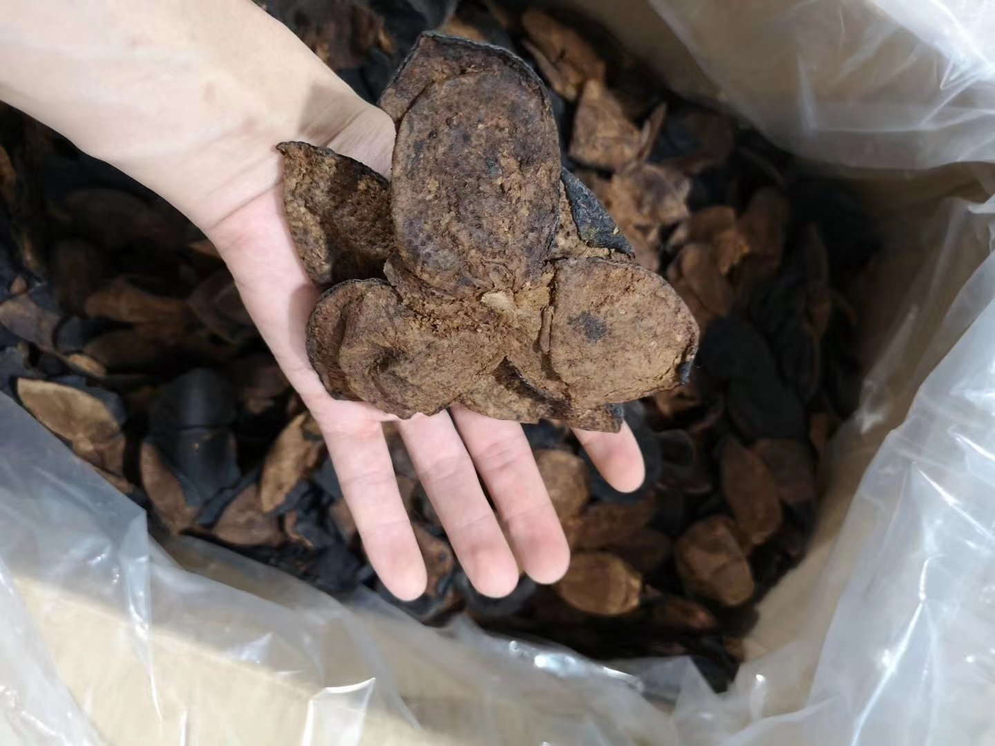 新会陈皮成品展示,包括整皮陈皮、切丝陈皮、陈皮茶等系列产品 新会陈皮产品展示