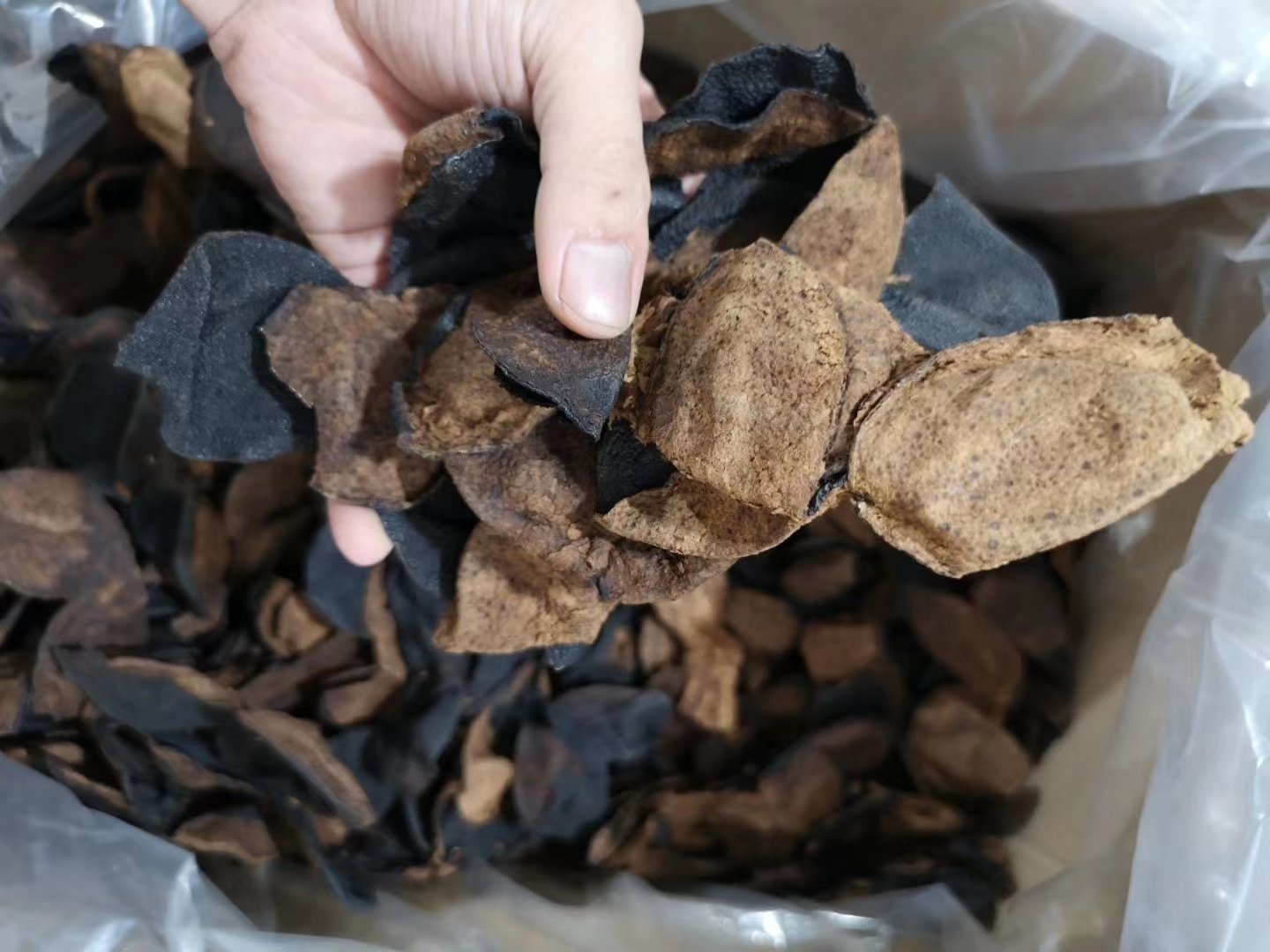 陈皮与黑豆组合食材图