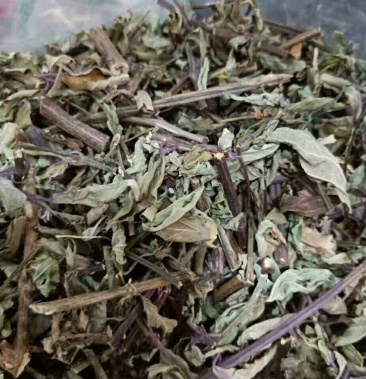 猫须草中药才猫须草干货猫须草