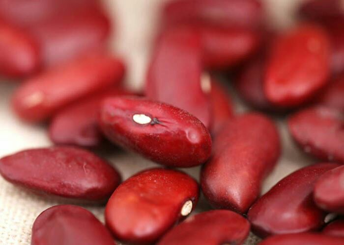 赤豆特写