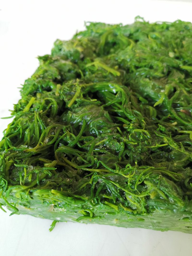 黄须菜碱蓬菜海蒿菜鲜菜速冻的凉菜做馅专用酒店宴会