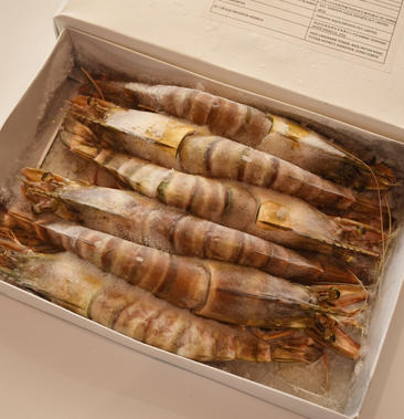 [基围虾批发]冷冻海虎虾 48kg/箱价格25000元/公斤 