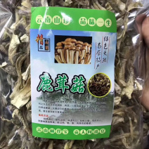 鹿茸菇