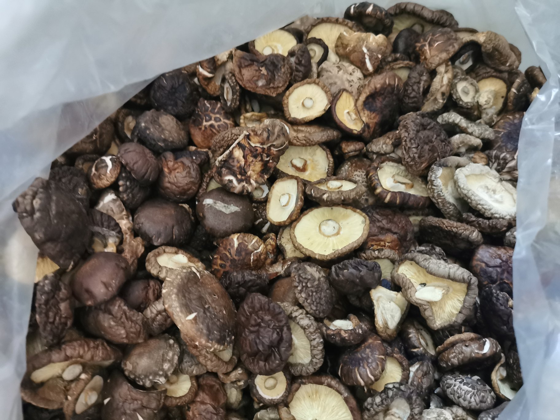 干香菇泡发前后对比图