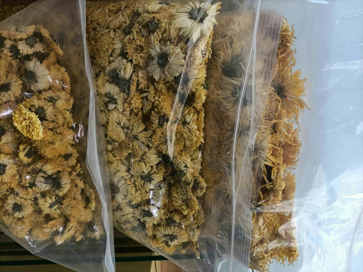 洒黄芩泡水示意图