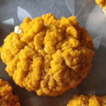 金耳菌大量出货