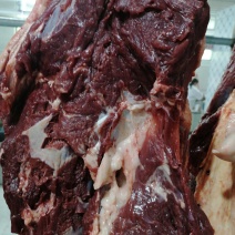 带皮鲜马肉精修去油纯干不注水