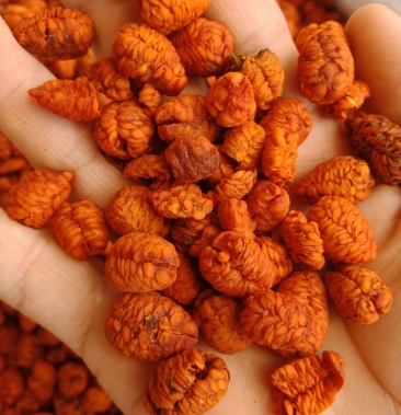 [山栀批发]栀子仁福建栀子仁正品保证质量无理由退货退款 华安堂价格