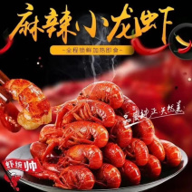 麻辣小龙虾