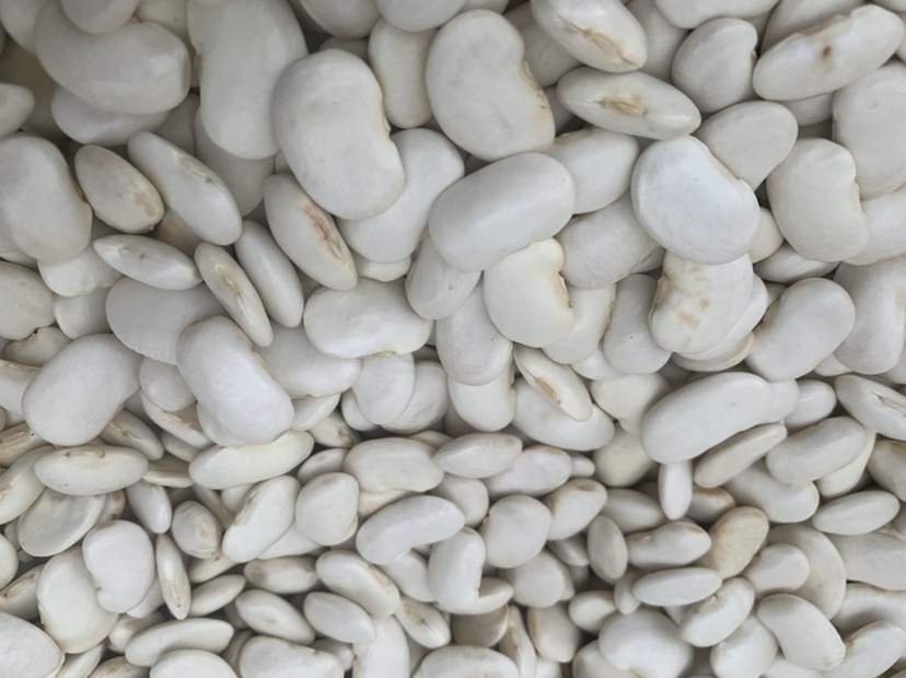 雪梨黄豆豆浆成品图