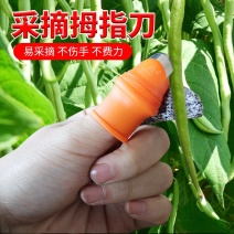 拇指刀(送防割指套)辣椒西红柿豆角掐尖采摘神器拇指套专用