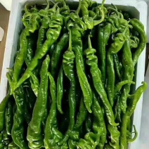 螺丝