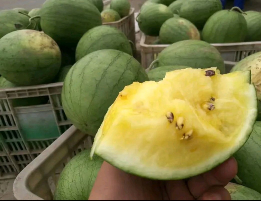 黄瓤西瓜与其他水果拼盘展示 黄瓤西瓜与其他水果拼盘展示