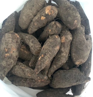 地老鼠新鲜,长期供应,有需要的