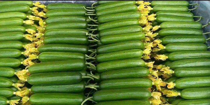 菜市场摊位上的带花小黄瓜