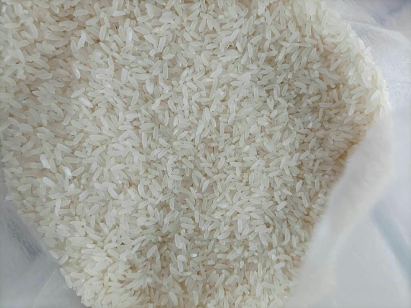 东北长粒香大米实物图
