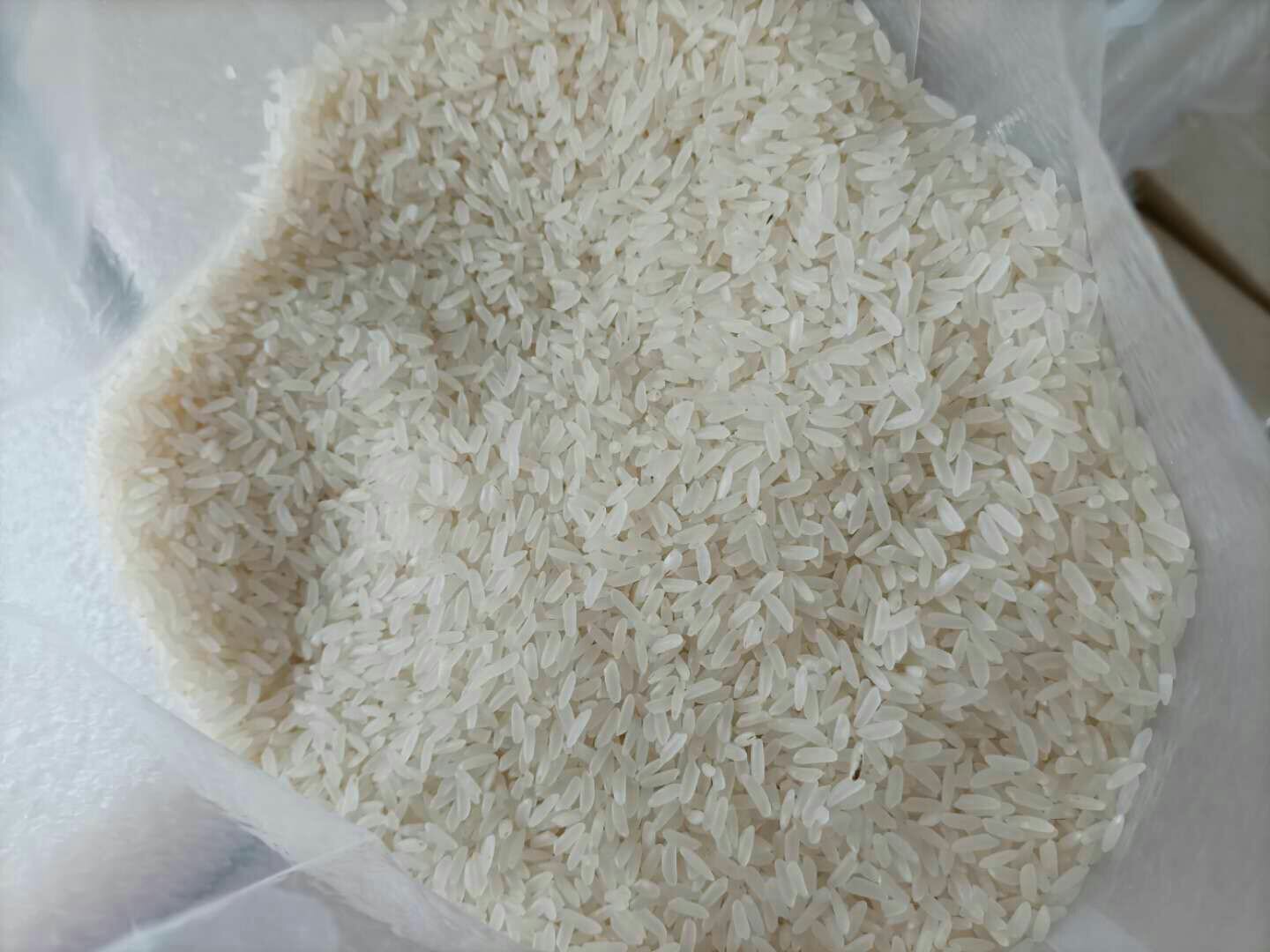 现代超市粮油区货架上陈列多款标注‘东北长粒香大米’的透明包装米袋,部分袋子可见内部晶莹细长的米粒,标签清晰印有产地、执行标准和品牌信息,背景有消费者正在挑选 超市货架上的东北长粒香大米包装产品