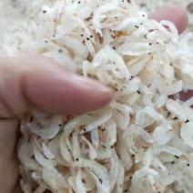 虾皮无盐虾皮流水线三级，大量有货sc手续齐全贴牌