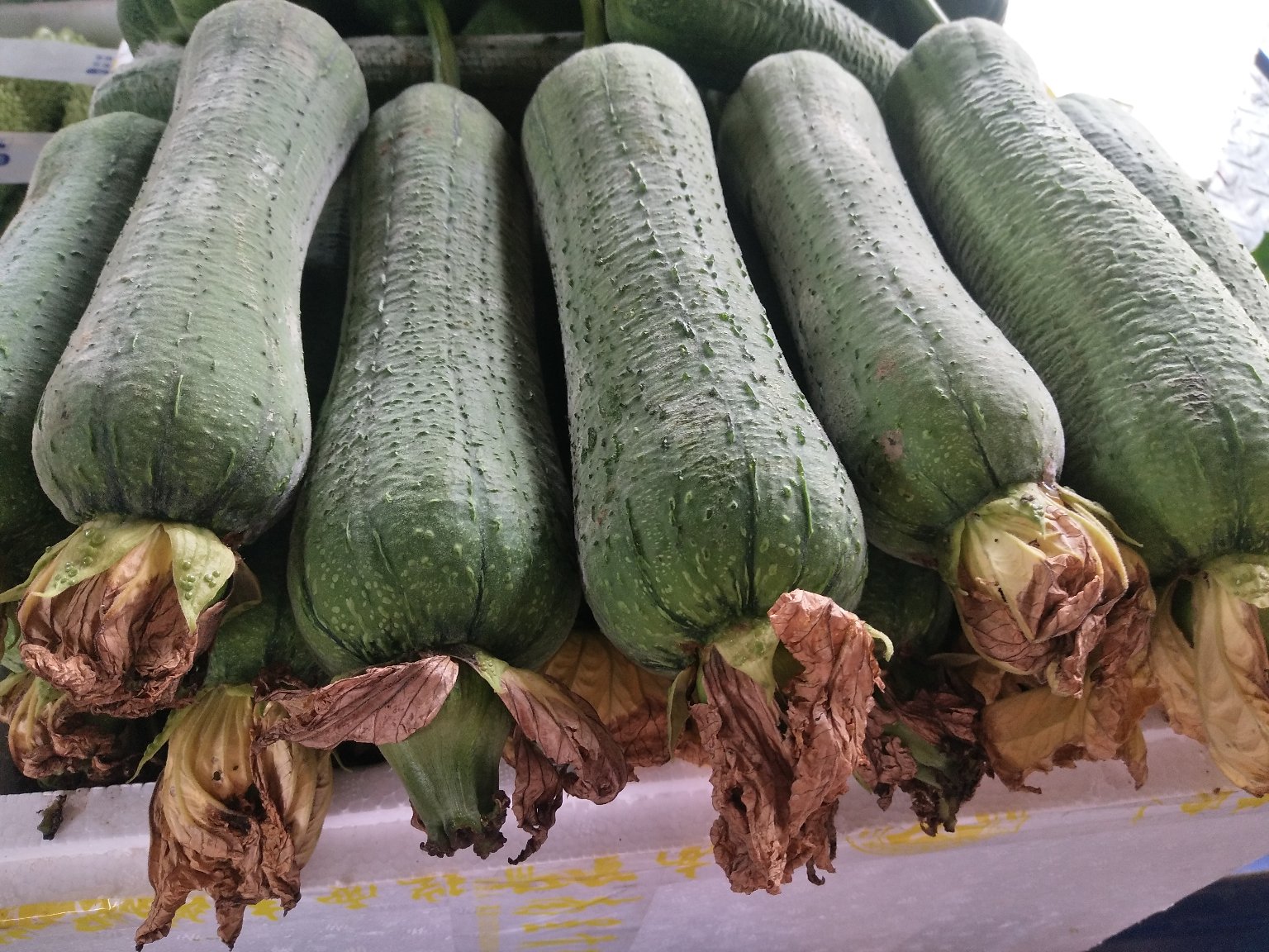 带棱角丝瓜用于家常菜式
