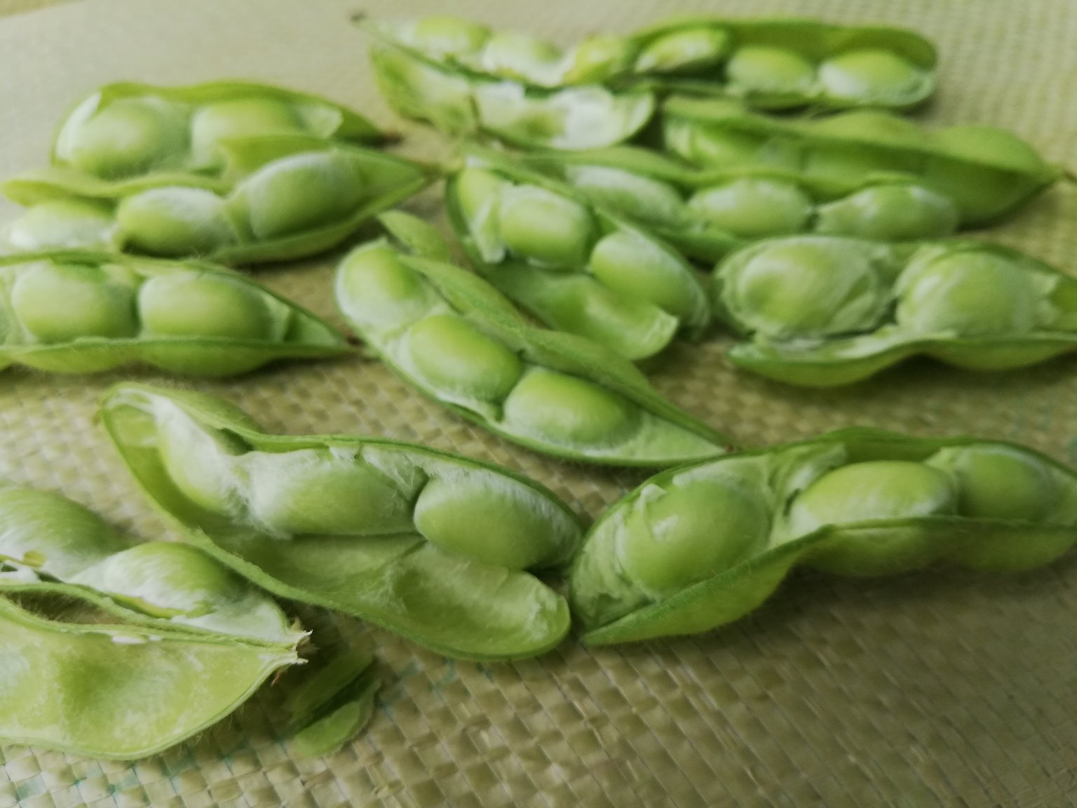 一名年轻女性在餐桌上展示由大豆制成的健康食品,包括豆浆和豆腐菜肴 女性手持一杯豆浆和一份豆腐菜肴