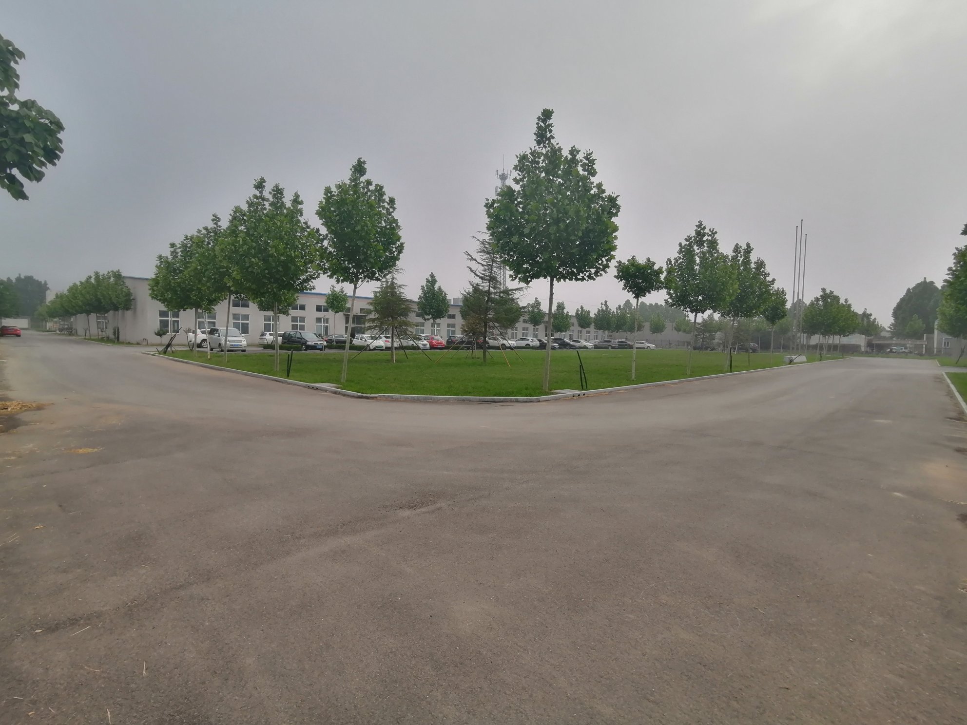 丝瓜春季雄花修剪示意图