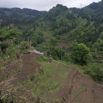 我手里有9000亩山地找合作不要租金