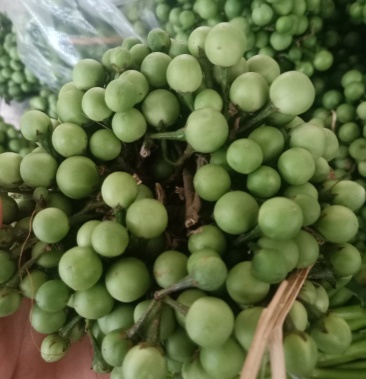 苦子果也叫刺茄野山茄鲜货