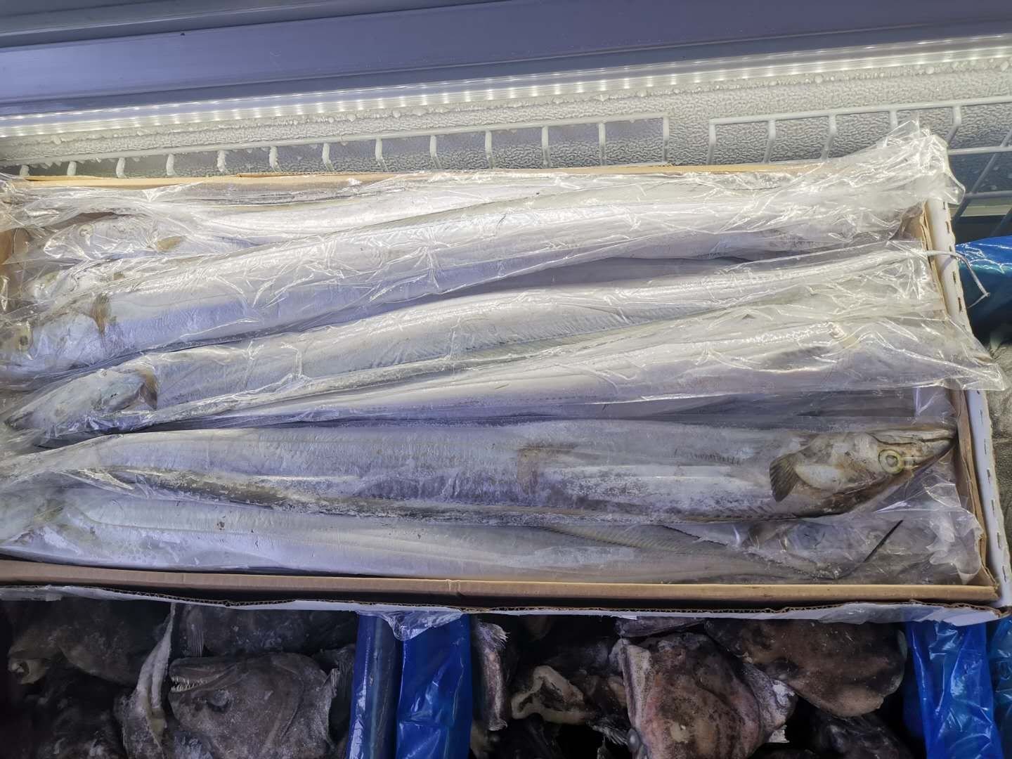 带鱼在国际市场上的展示