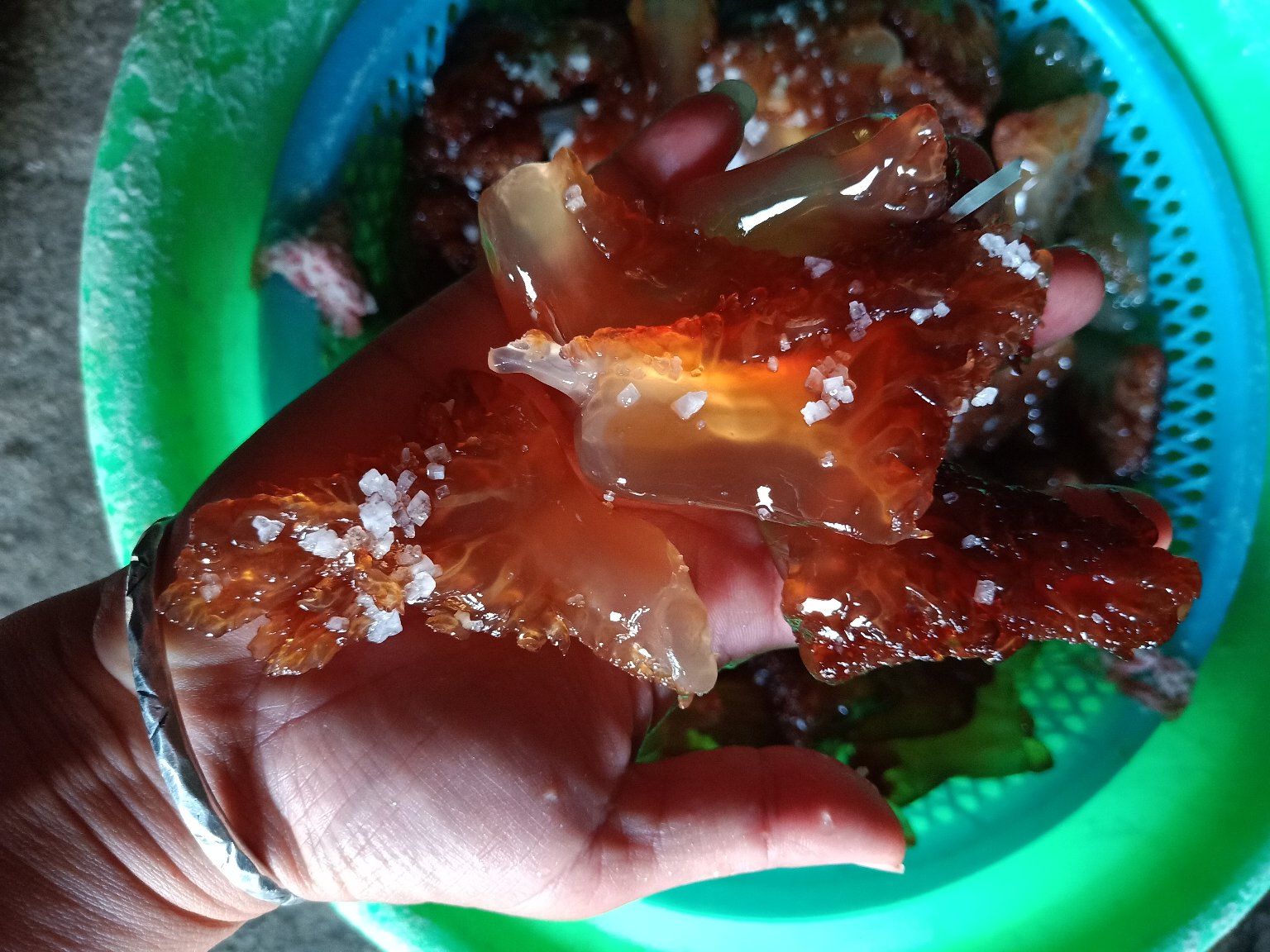 海蜇头,红头单角,4斤装产地直销.大量现货.不包运费