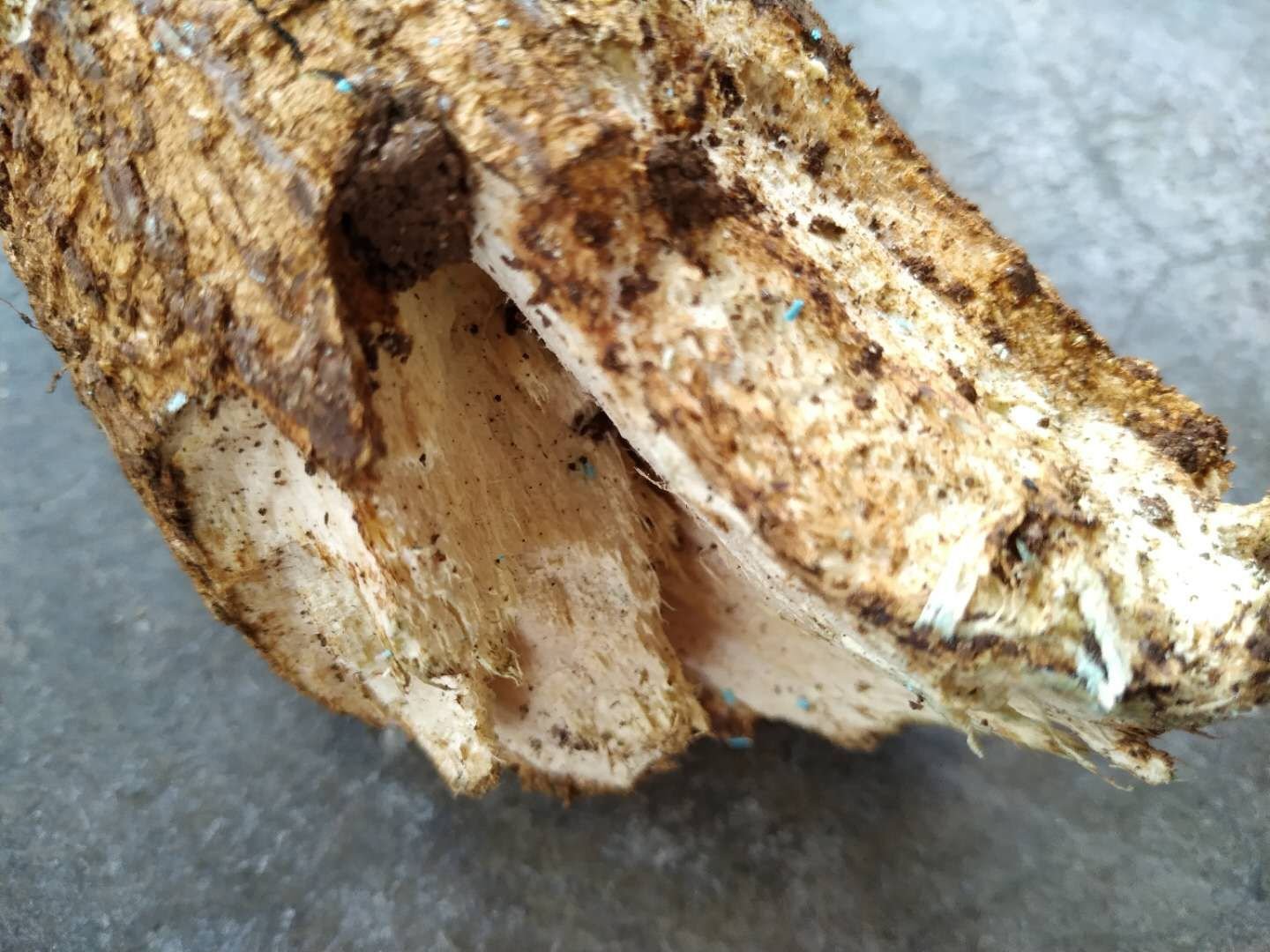 展示小叶紫檀不同纹理的木材样本,如金星纹、牛毛纹、水波纹等,用于说明其品相差异 小叶紫檀木材纹理展示图