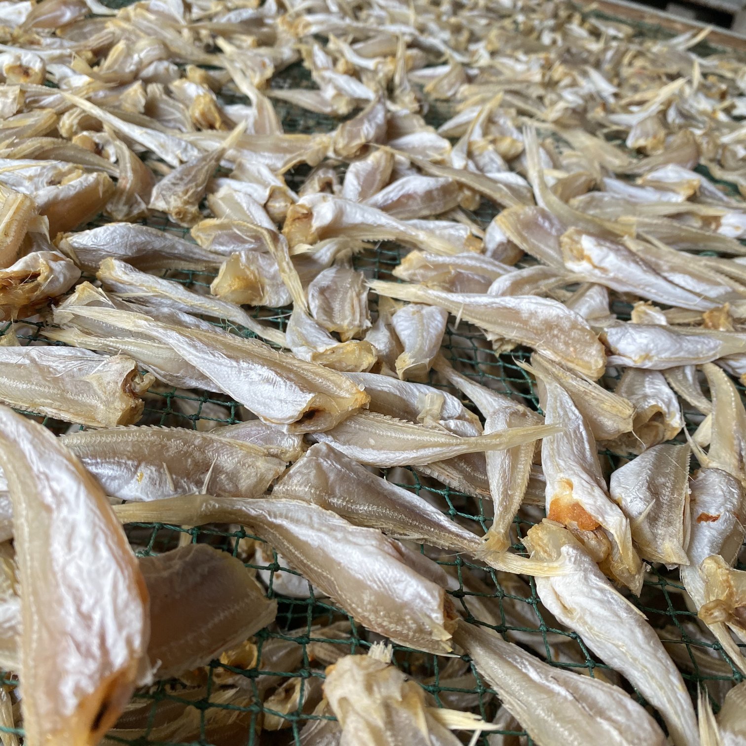 北海特产红娘鱼 六角头 咸鱼干摆摊热销产品