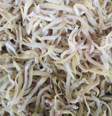 [凤尾鱼批发]浡海湾特产凤尾鱼,一首货源,才出的新货.价格4.