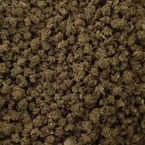 正宗猫爪草各种规格全新货品质保障常年供应量大价优欢迎咨询