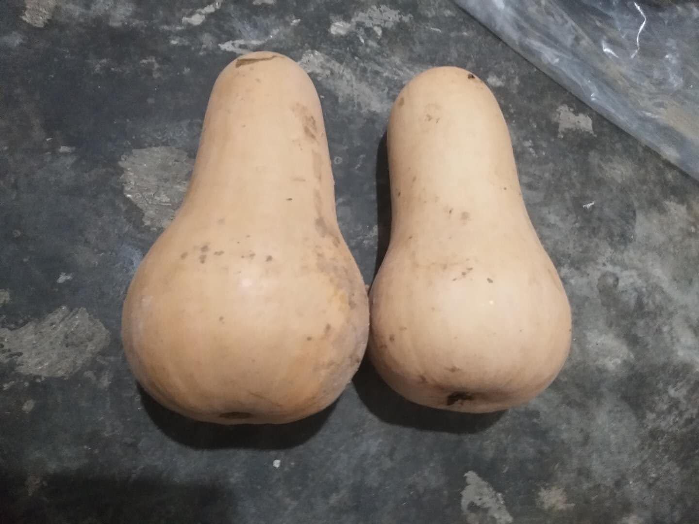 奶油南瓜切块与配料摆盘