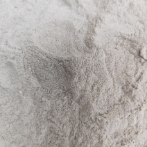 粉状50目贝壳粉，精纯高钙研磨微瑕无杂质厂家直供