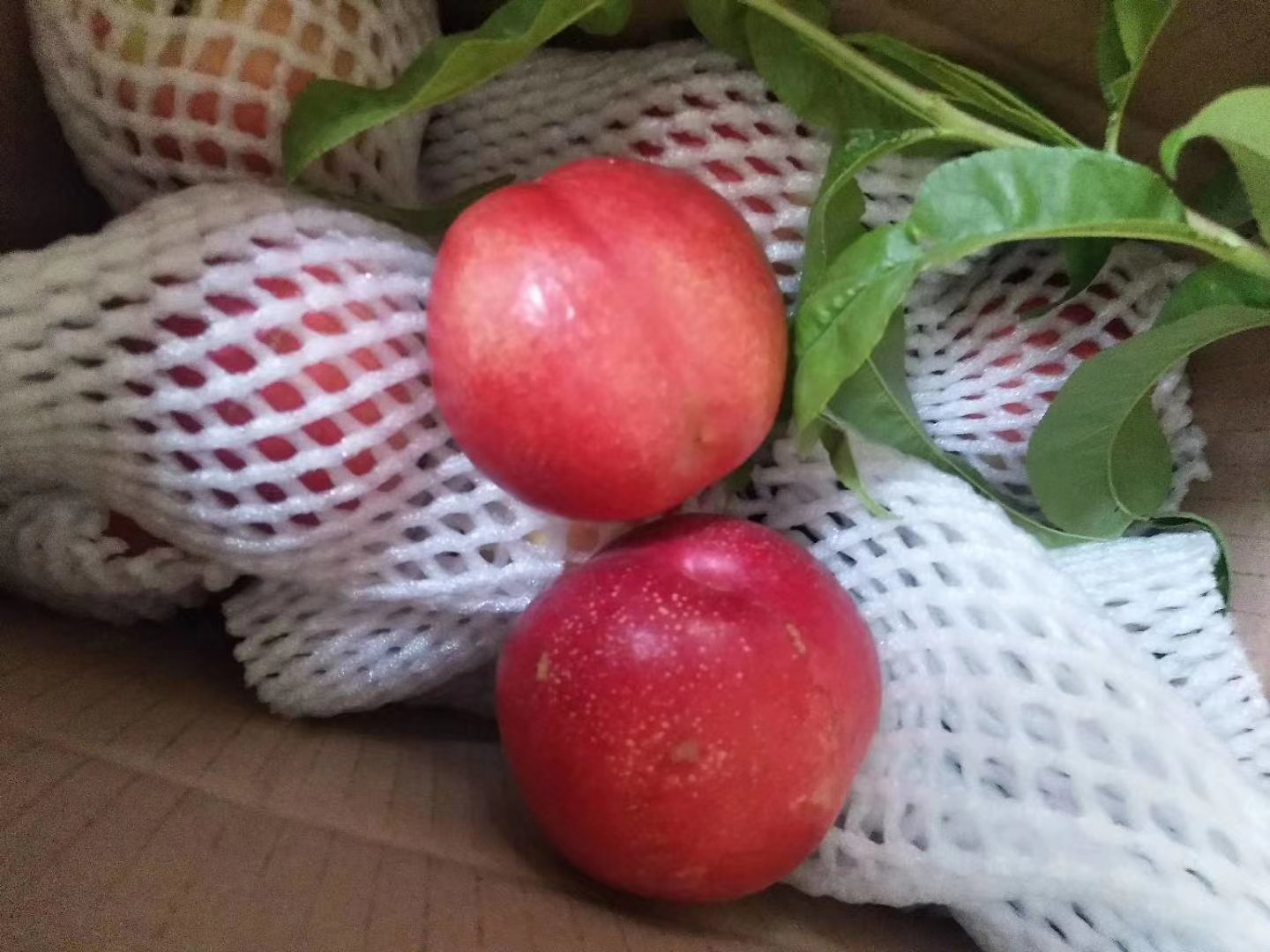 中油超霸油桃裂果特写