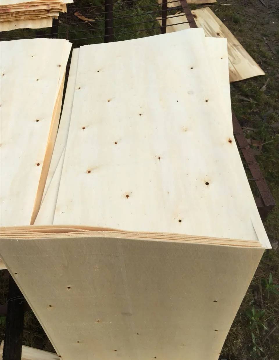 杨树板皮大量现货供应