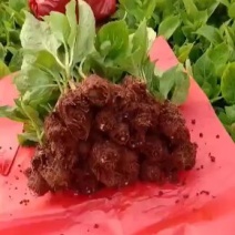 云南批发绣球花小苗基地发货，空运包邮到家