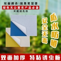 双面覆纸防水强力粘虫板大棚果园茶园粘蚜虫小飞虫蓟马专用板