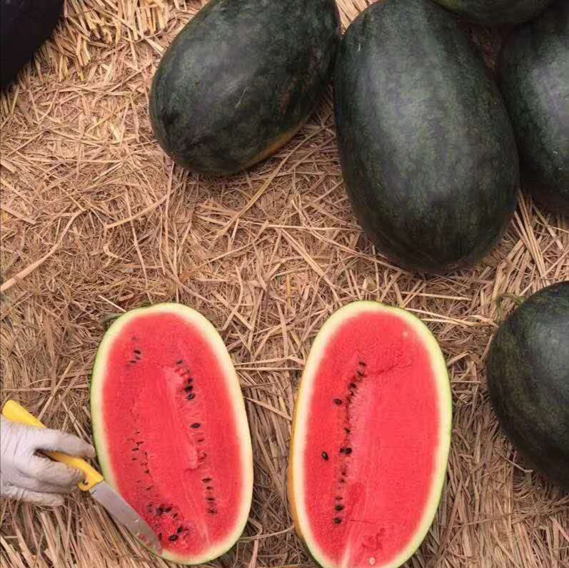 人体消化系统示意图