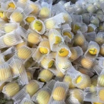 气柱袋包装，代替泡沫珍珠棉发货防震防摔的。