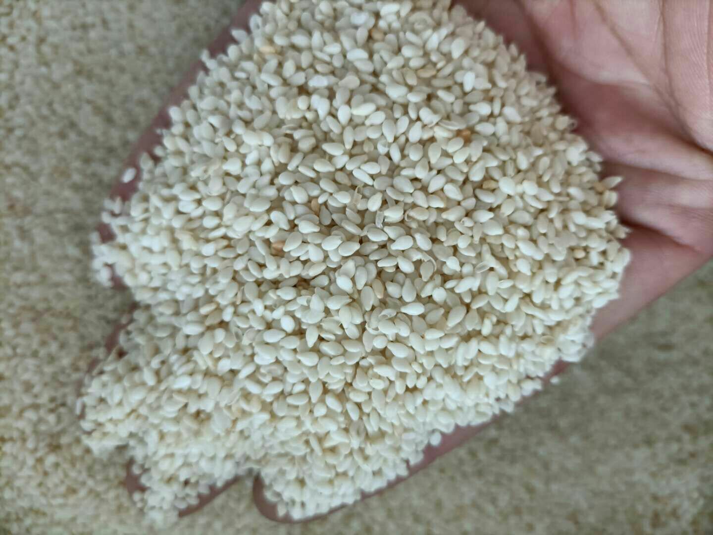 芝麻健康食用方式示意图