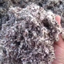 新疆库尔勒新棉籽壳棉粕磨盘棉籽壳玉米芯颗粒3-5CM稻草