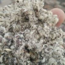 湖北湖南新棉壳中壳中绒磨盘小麦次粉香菇银耳木耳大片麸皮