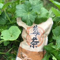张家界自家莓茶直销