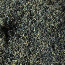 蒲公英茶【包邮】三斤起发货可批量可零售量大从优