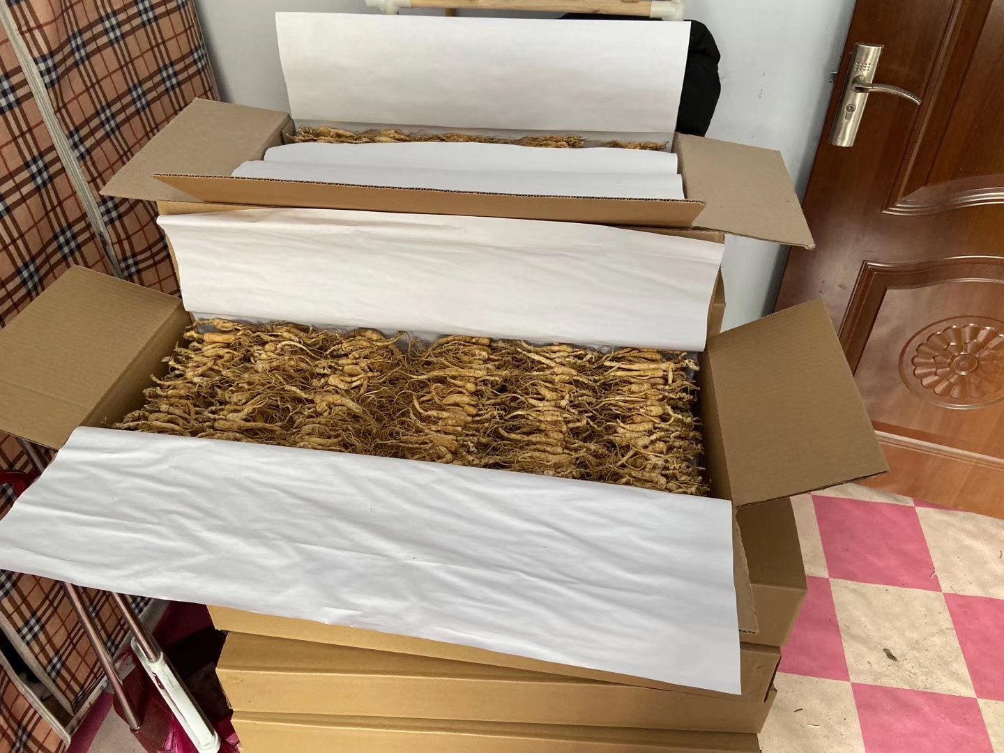 一辆标有‘中药材专运’的冷藏车停靠在林区路边,工作人员正在将装有鲜林下参的保温箱搬上车,箱体标注‘0-4℃’‘防潮’‘勿倒置’字样,背景为夏季森林环境 鲜林下参冷链运输示意图